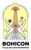 Ville de Bohicon